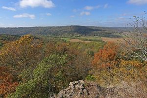 View from a high vantage point of an autumn-colored forest and rolling hills at Edge of Appalachia Preserve.
