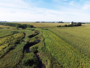 Aerial shot of stream and seeded saturated buffer.