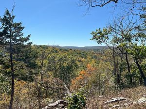 A blue sky frames a colorful forest valley.