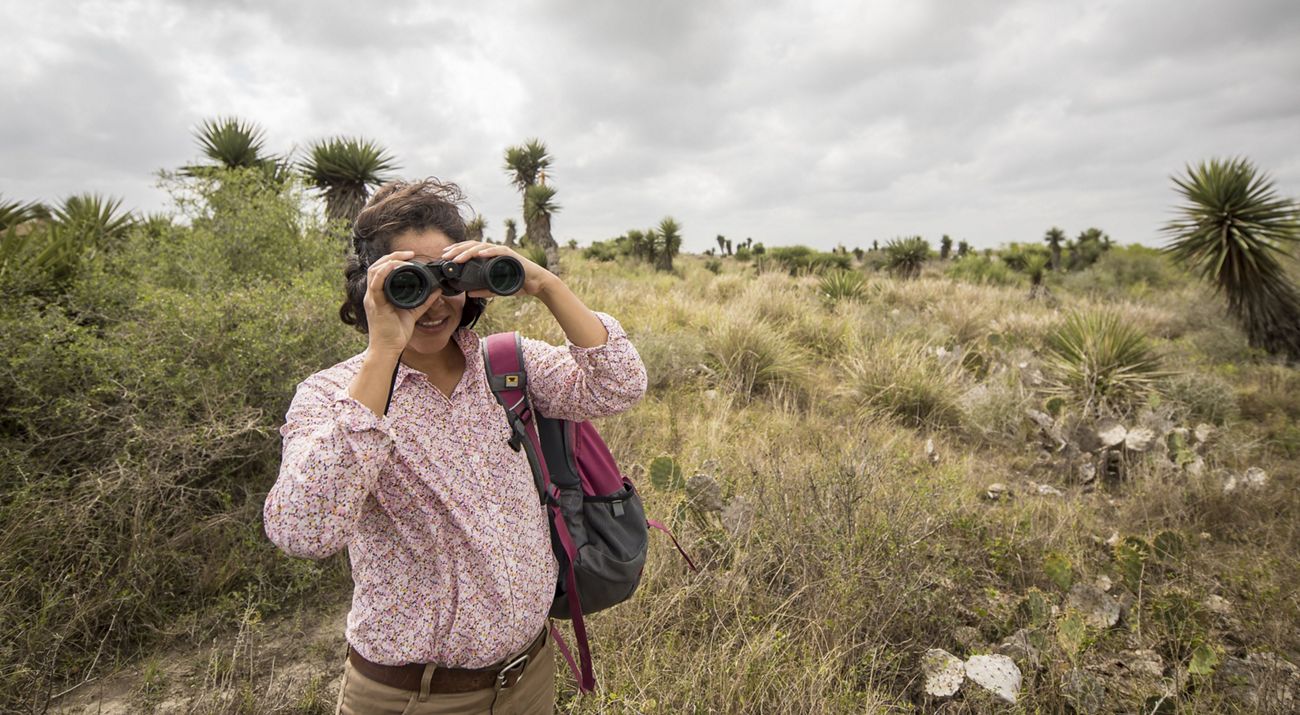 A woman with binoculars stands in waist-high grass in a scrubby landscape.