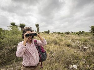 A woman with binoculars stands in waist-high grass in a scrubby landscape.