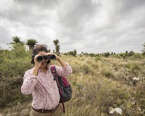 A woman with binoculars stands in waist-high grass in a scrubby landscape.