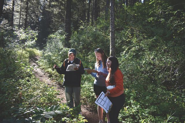 Three people stand on a trail in a wooded forest.