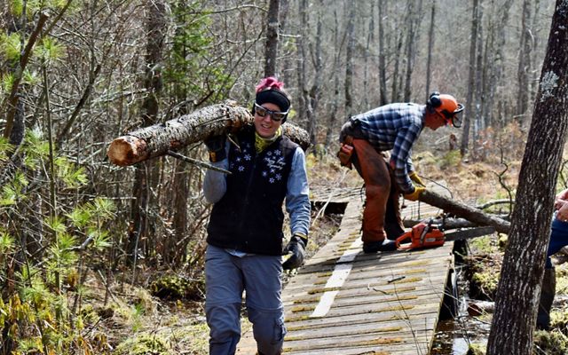 Two people walk on a boardwalk and carry logs in a forest.