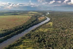 Vista de drone do Rio das Mortes limitando a fronteira da Terra Indígena São Marcos da etnia Xavante (à direita) e propriedade privada com pastagem (à esquerda)
