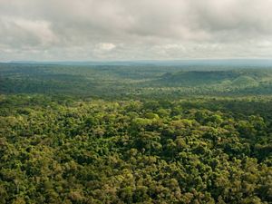 Vista aérea de uma região de floresta preservada em São Félix do Xingu-PA.