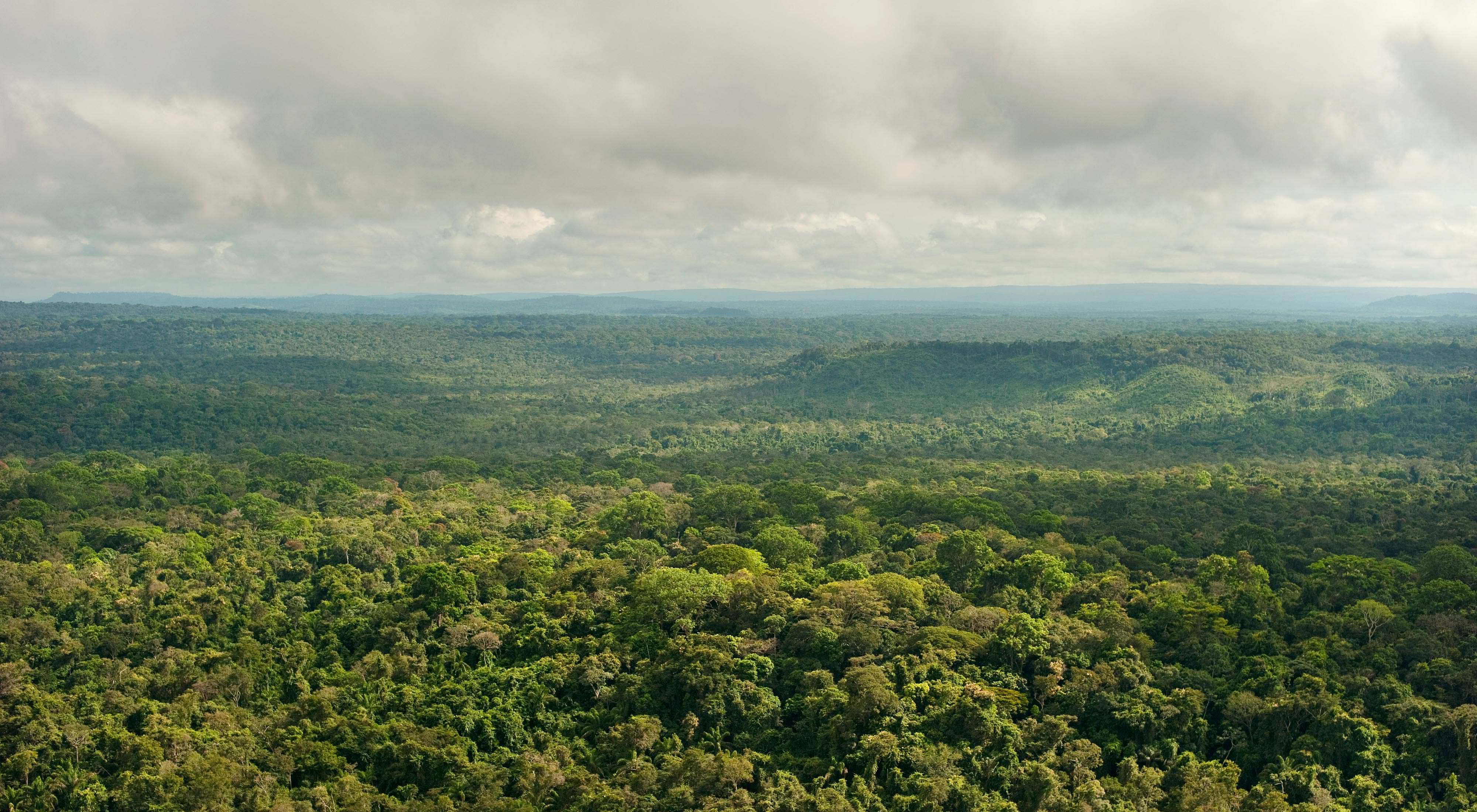 Vista aérea de uma região de floresta preservada em São Félix do Xingu-PA.
