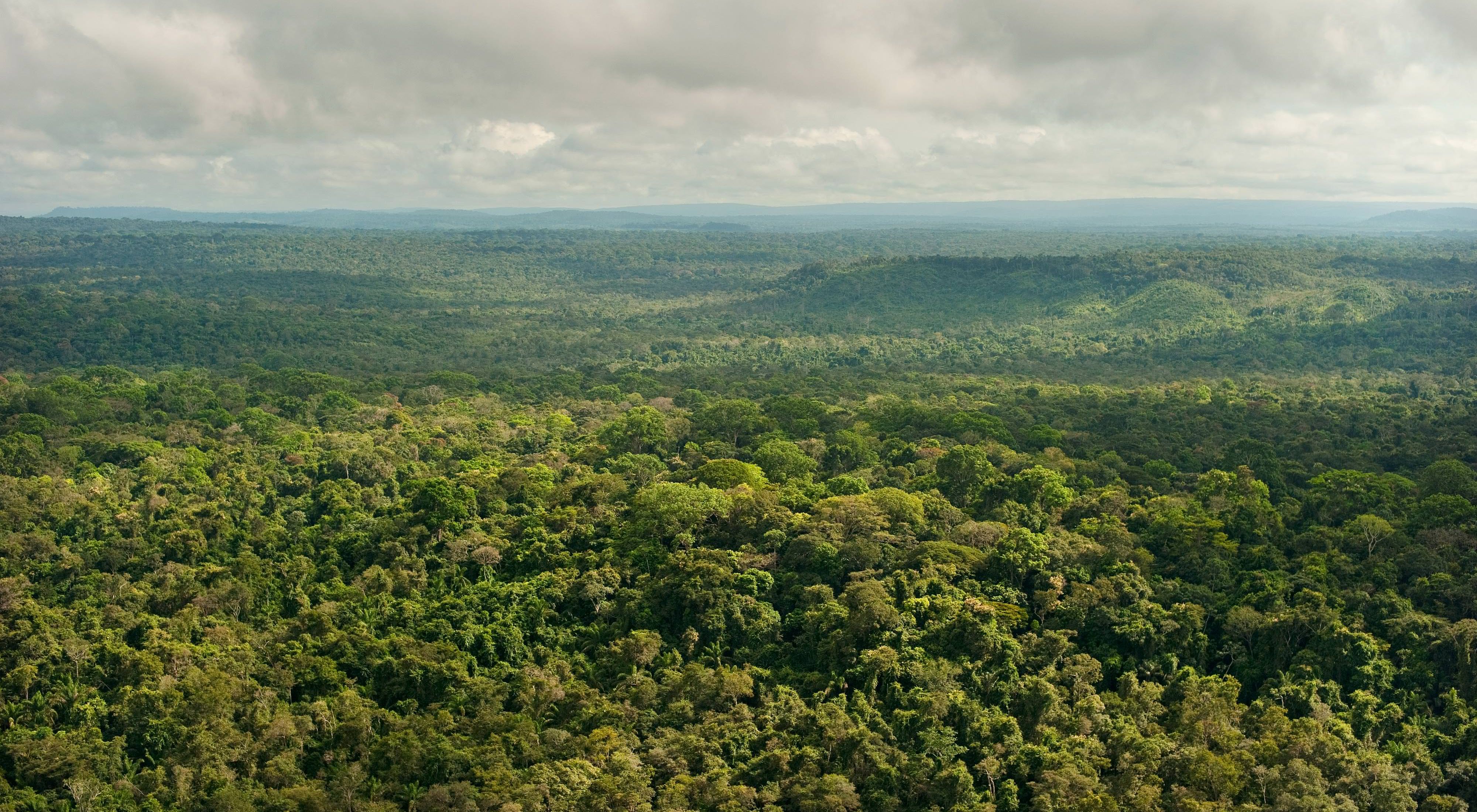 Vista aérea de uma região de floresta preservada em São Félix do Xingu-PA.