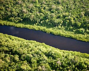 El Dorado: protegiendo una migración épica