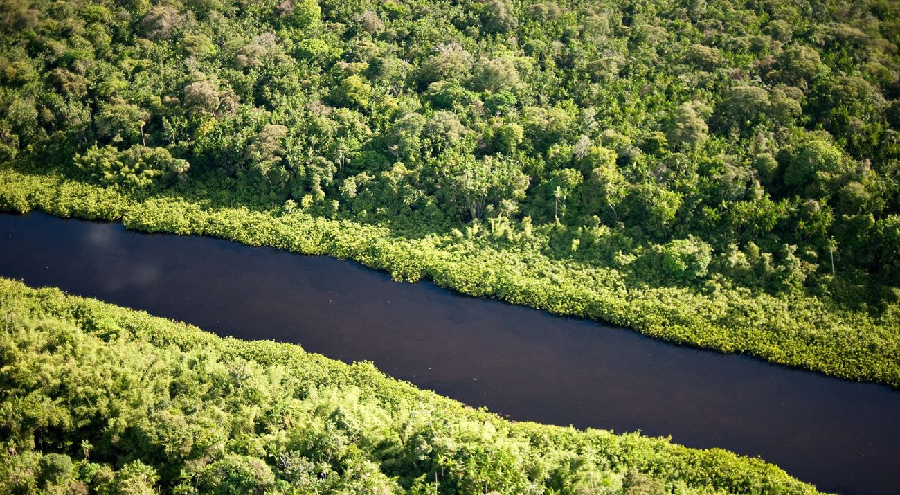 Vista aérea de la extensa región indígena de Oiapaque en el Amazonas, Brasil.