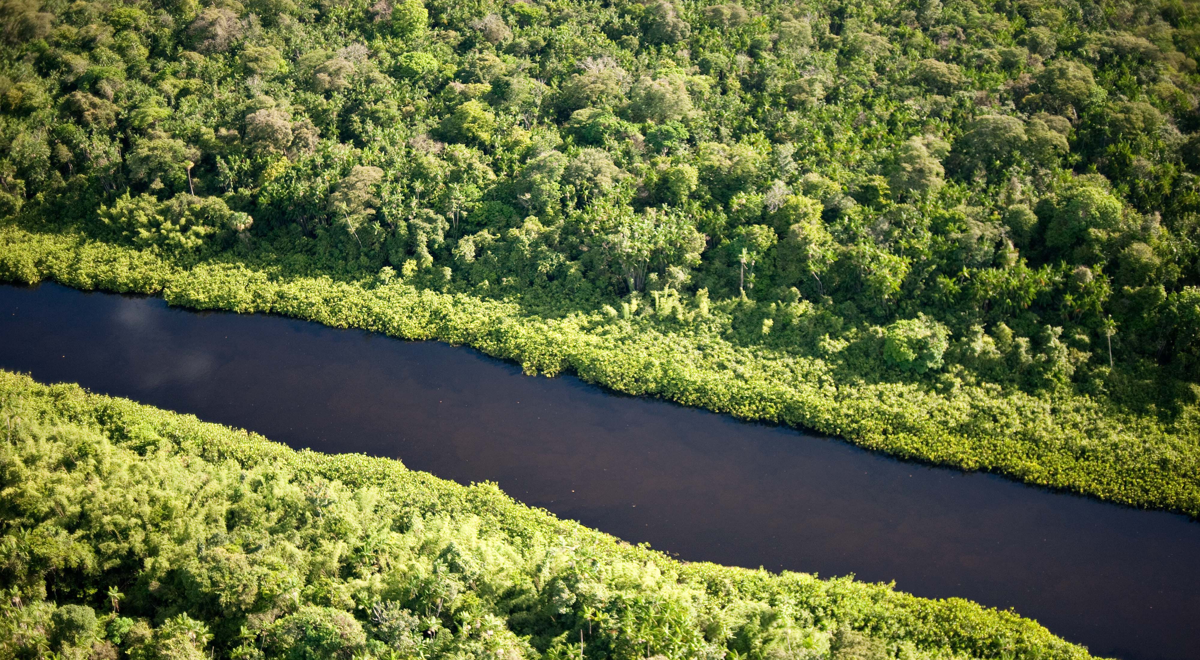 Vista aérea de la extensa región indígena de Oiapaque en el Amazonas, Brasil. 
