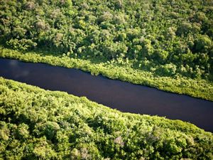 Vista aérea da extensa região indígena Oiapaque na Amazônia, Brasil.