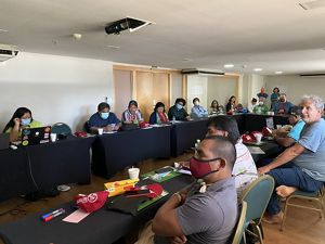 Lideranças debatem retorno do Centro Amazônico de Formação Indígena em Brasília 