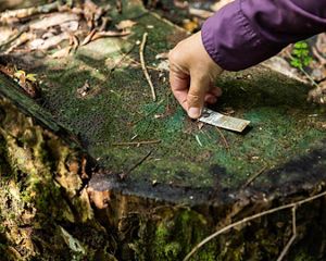 Desafios da implementação do Código Florestal