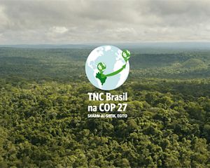 Vista aérea de região de florestas nativas na Amazônia.