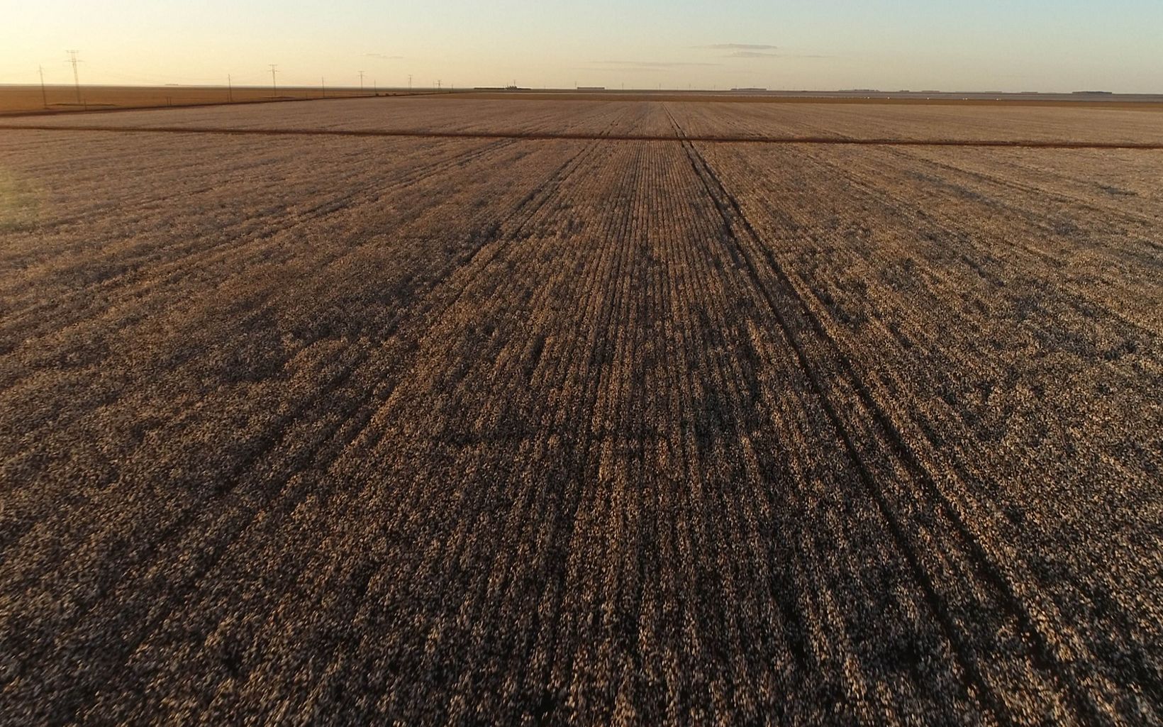 Agricultura em expansão As terras planas do cerrado tem sido usadas frequentemente para a expansão da agricultura, especialmente no cultivo de grãos. © Ludus Videos