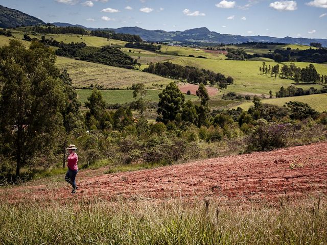 Mulher restaurando na Mata Atlântica