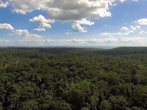 Vista aérea da Floresta Nacional do Tapajós, no Pará.