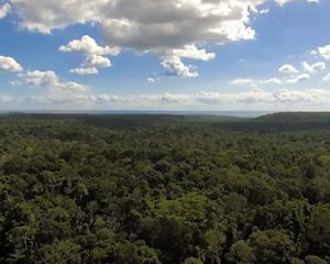 Vista aérea da Floresta Nacional do Tapajós, no Pará.