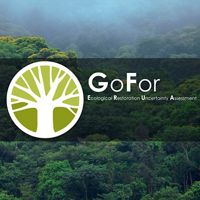 Logo GoFor