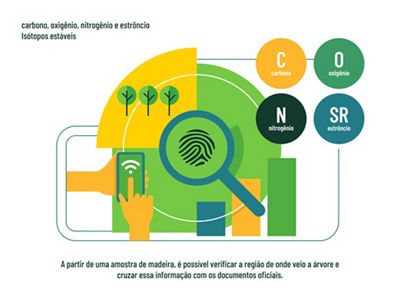 É possível verificar a região de onde veio a árvore e
cruzar essa informação com os documentos oficiais.