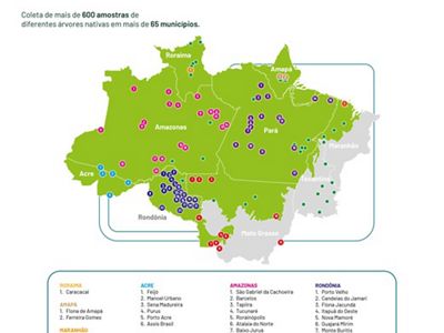 Coleta de mais de 600 amostras de diferentes árvores nativas em mais de 65 municípios.