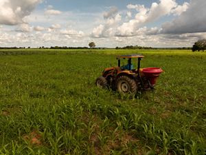 Trator aduba plantação verde sob céu amplo e nublado, em paisagem rural de horizonte aberto e vasto.