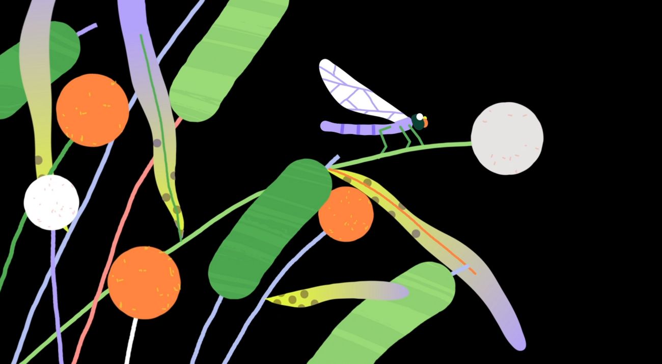 ILUSTRAÇÃO REPRESENTANDO A BIODIVERSIDADE