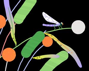 Ilustração de um inseto em uma planta.