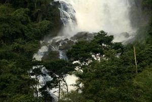 Waterfall in Nazare municipality, part of the Piracicaba-Capivari-Jundia  watershed that provides water to 9 million people in the Sao Paulo Metropolitan Area, Brazil. The Conservancy works to set up Water Producer Programs in Brazil's Atlantic Forest, which pay farmers and ranchers for protection and restoration of riparian areas on their lands. Trees planted through this effort bring the Conservancy closer to its goal of planting one billion trees in the Atlantic Forest. 