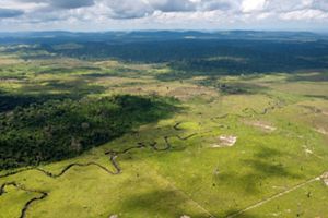 Vista aérea de uma vasta paisagem, mostrando uma grande área de pastagem com um rio sinuoso e estreito. À esquerda e ao fundo, vê-se uma densa área de floresta, e ao longe, uma cadeia de montanhas.
