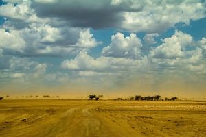 Mudanças diárias que surgem com os ventos encobrindo o mangue de pó,