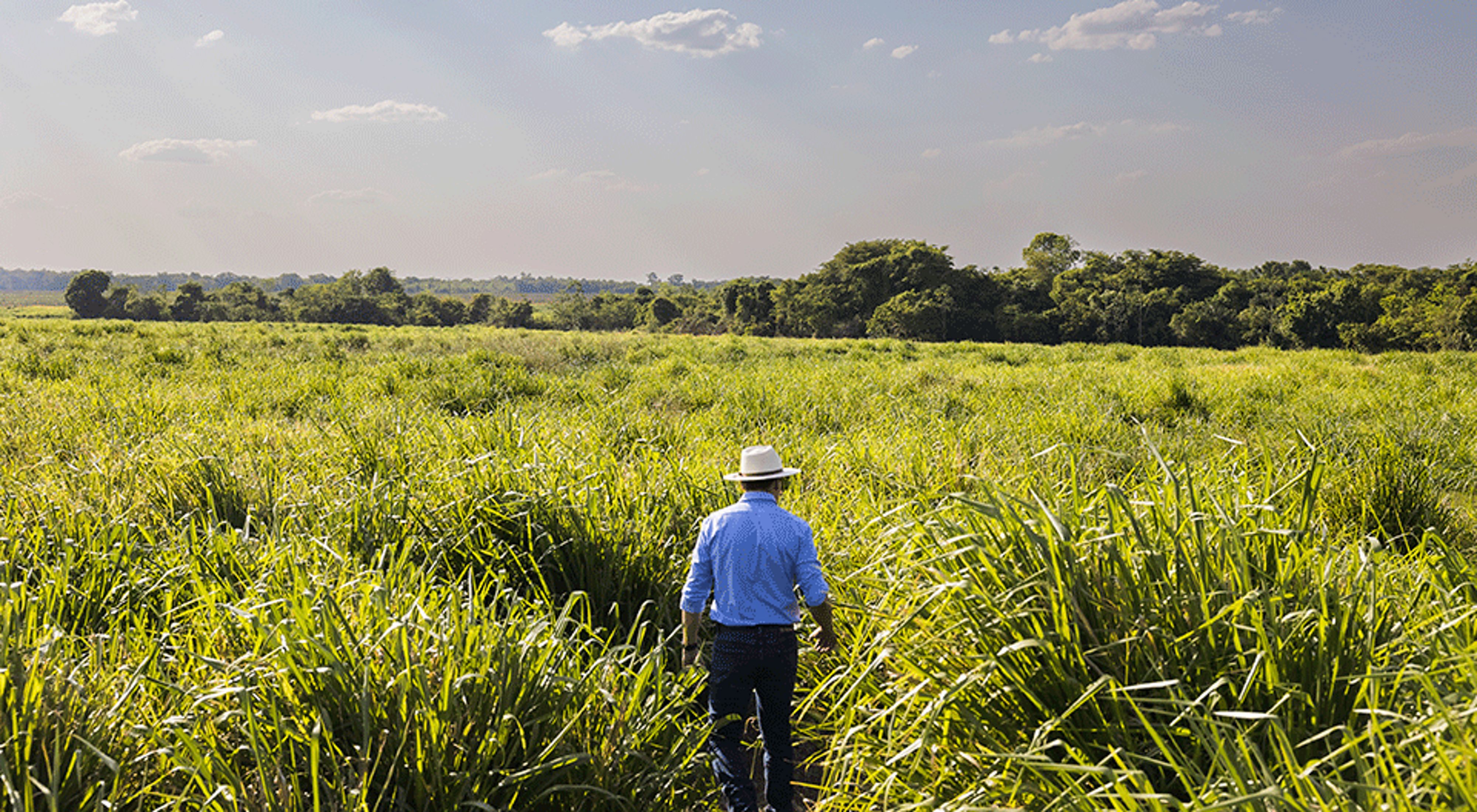 Produtor rural caminhando em área de plantio no Tocantins.