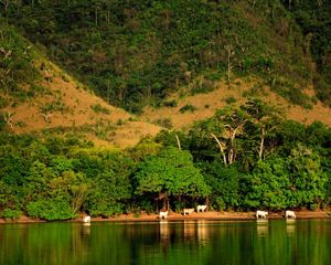 A lógica da mitigação climática passa por três pilares fundamentais: evitar, reduzir e, só então, remover emissões de carbono.