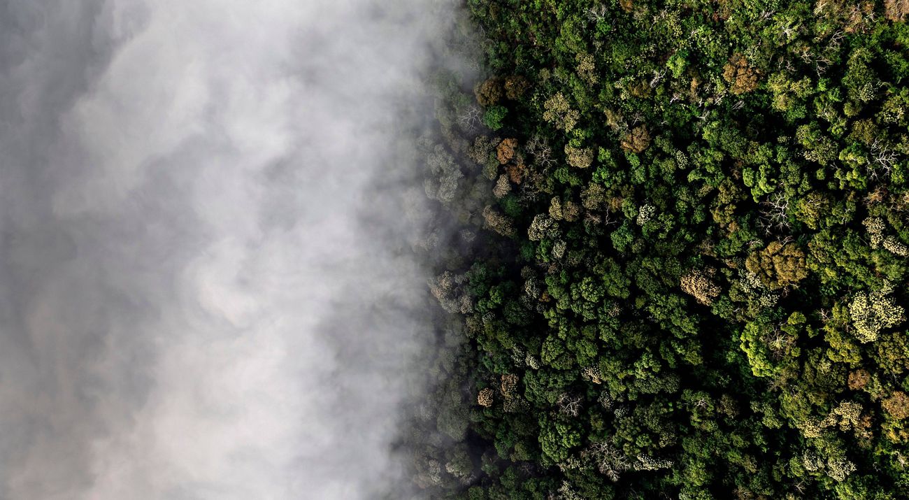 Imagem aérea de nuvens e área de floresta conservada.