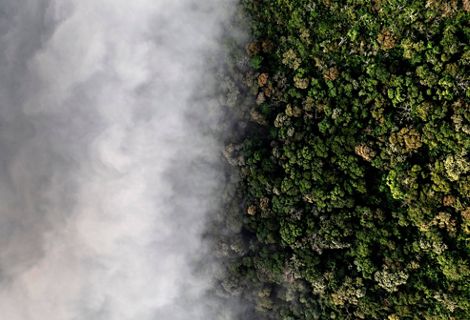 Imagem de área de florestas coberta por nuvens.