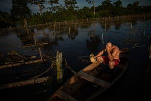 Noah did not have time to build the ark // Farmer Noah Vieira do Carmo, 44, mourns the loss of his passion fruit plantation due to the flooding of Amazonian rivers that affected  Anama, Amazonas, Brazil, on May 24, 2021. Noah couldn't even save his animals. He has lost much of his few livestock to wild animals like snakes and alligators and his plantations to the waters.