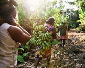 A COP30, em Belém, é uma oportunidade histórica para o Brasil mostrar ao mundo que é possível desenvolver com inclusão, equidade e floresta em pé.