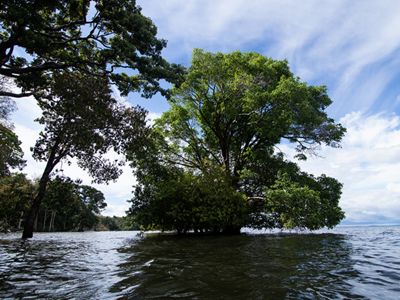 BACIA DO TAPAJÓS, AMAZÔNIA.