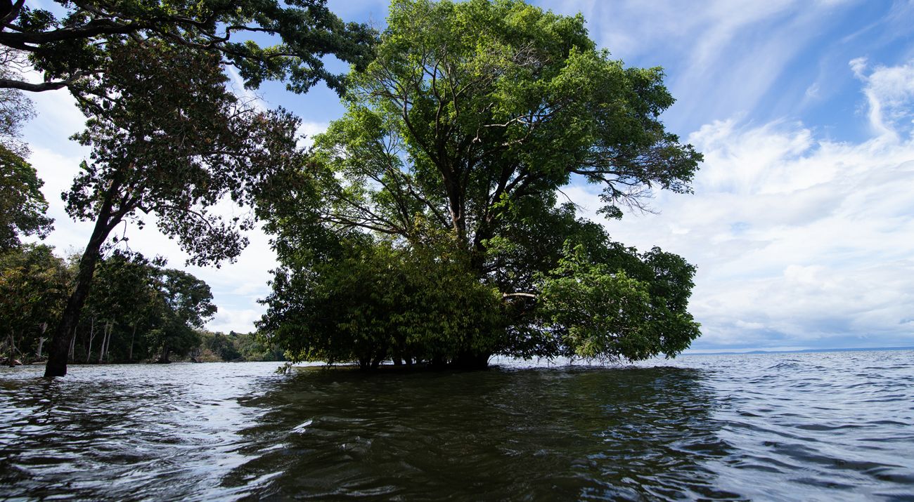 Bacia do Tapajós, na Amazônia.