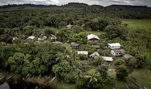 Imagem aérea de área de floresta.
