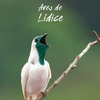 Capa do guia de aves desenvolvido com apoio da TNC indicando espécies que vivem na região de Lídice, distrito de Rio Claro-RJ.