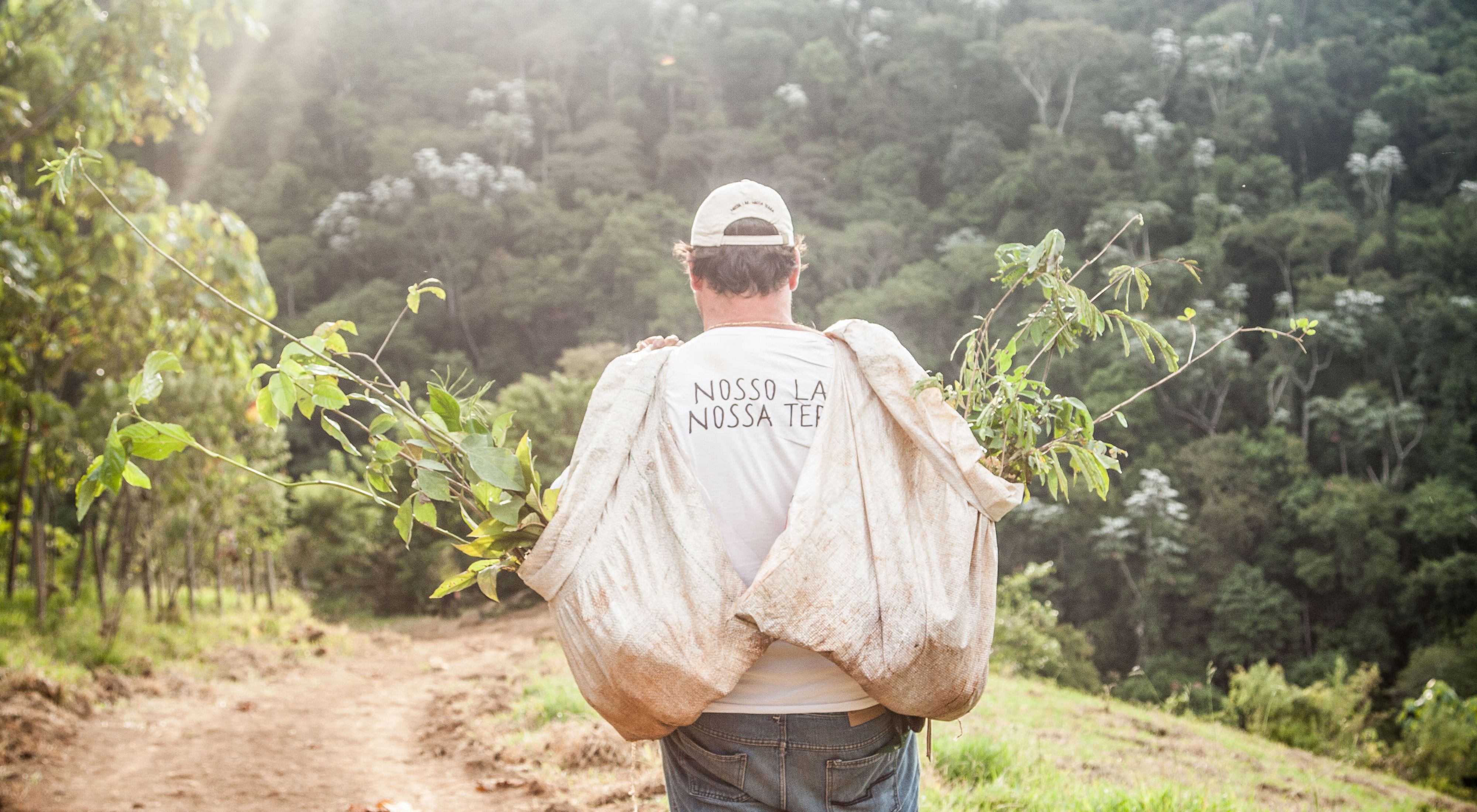 Funcionário do ITPA, organização parceira no distrito de Lídice, em Rio Claro-RJ, carregando mudas de árvores para a restauração de áreas degradadas.