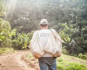 Funcionário do ITPA, organização parceira no distrito de Lídice, em Rio Claro-RJ, carregando mudas de árvores para a restauração de áreas degradadas.