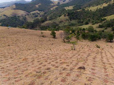 Covas abertas para plantio de mudas em Extrema-MG.