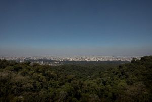Cidade de São Paulo vista do Parque Estadual da Serra da Cantareira