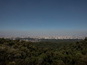 Cidade de São Paulo vista do Parque Estadual da Serra da Cantareira