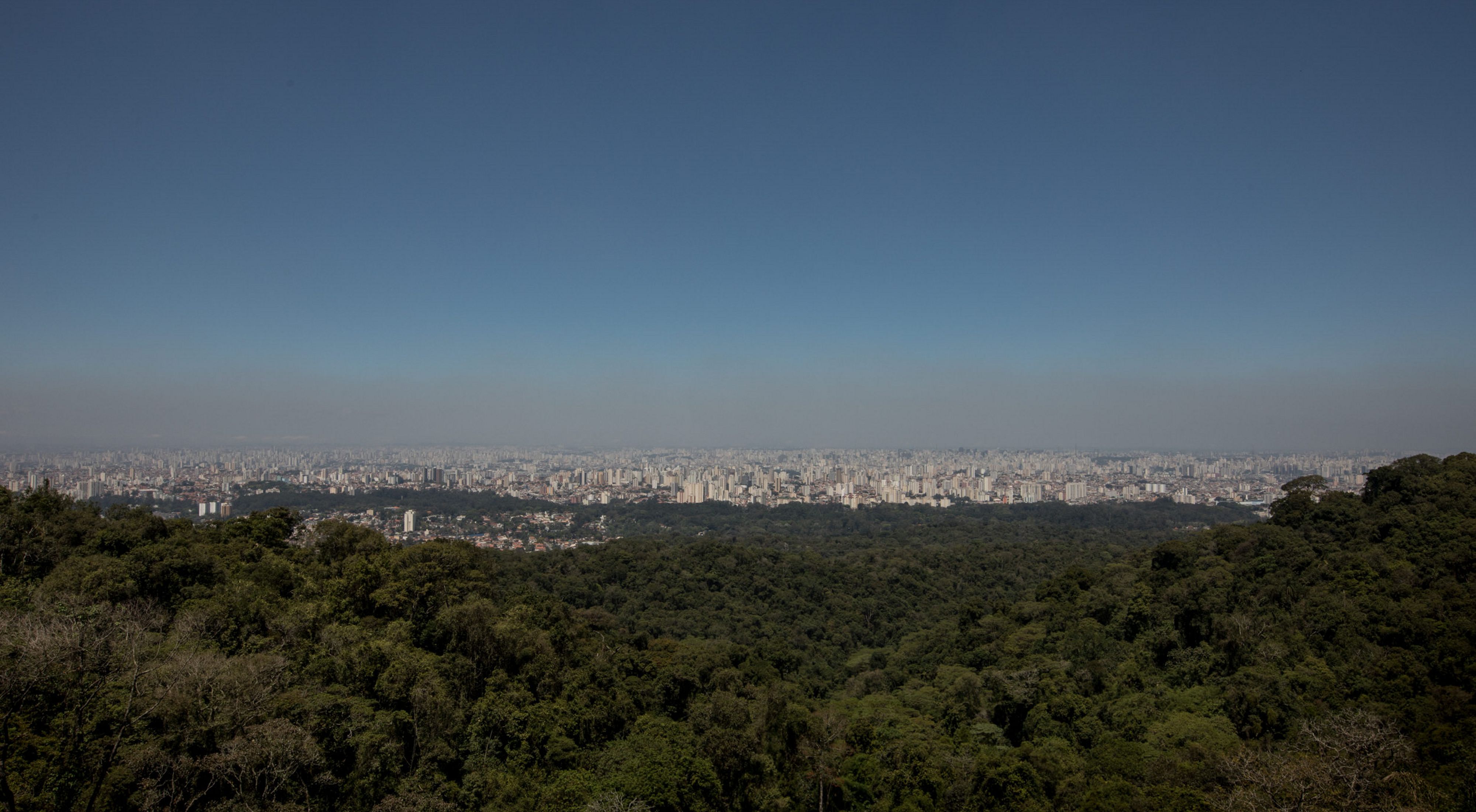 Cidade de São Paulo vista do Parque Estadual da Serra da Cantareira