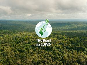 TNC Brasil na COP 26