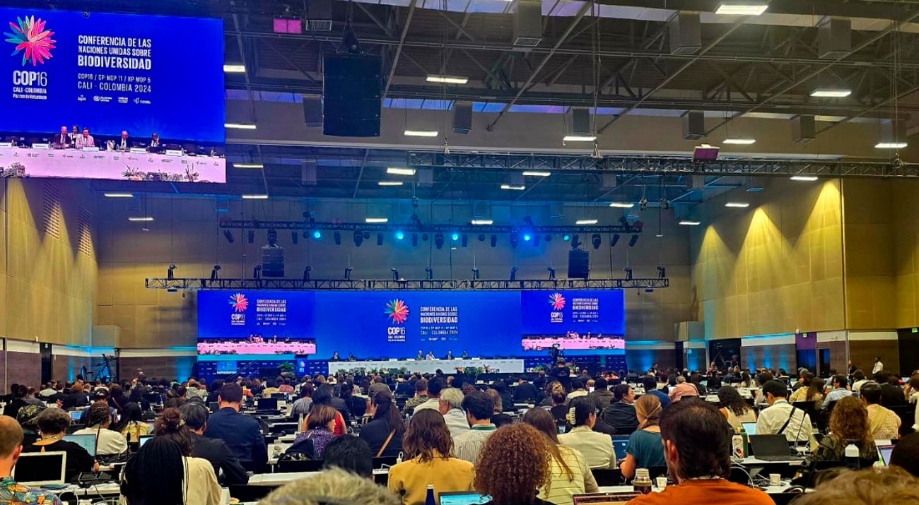 Imagem do salão central de negociações da COP16